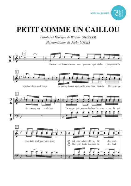 /partitions/Petit comme un caillou (4vm)-1997